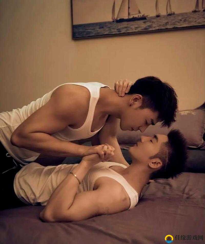 国产 CHINESE 男男 GAY 片：探索独特的同性情感世界