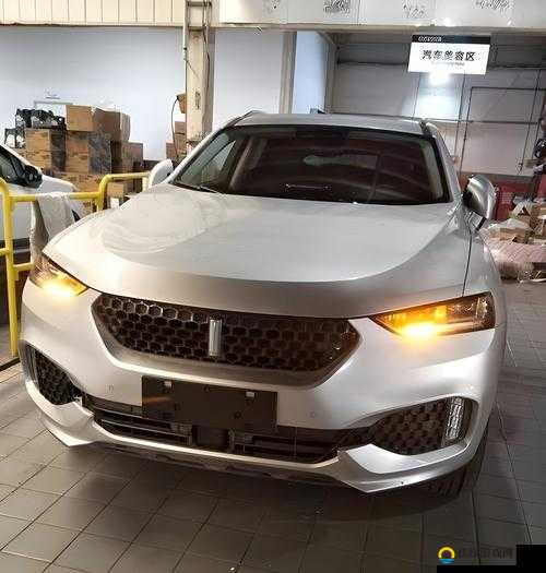 weyvv5 国产的 suv：一款令人心动的高品质国产汽车